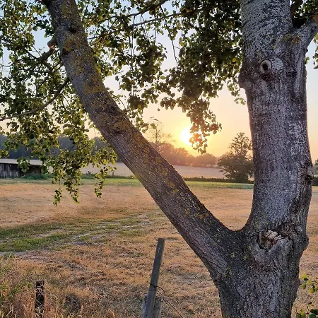 Wipperau I Апартаменты Ильцен