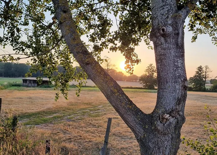 Wipperau I 아파트 울첸